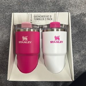 COPY - Stanley 20oz tumbler set. Pink vibes/ frost. Brand new.